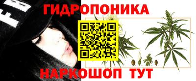 гашик Обнинск