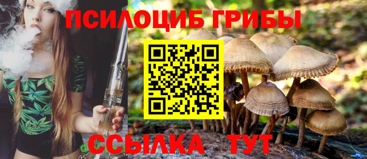 Псилоцибиновые грибы Psilocybe  Вход с VPN  Псилоцибиновые грибы Cubensis  Славянск-на-Кубани 