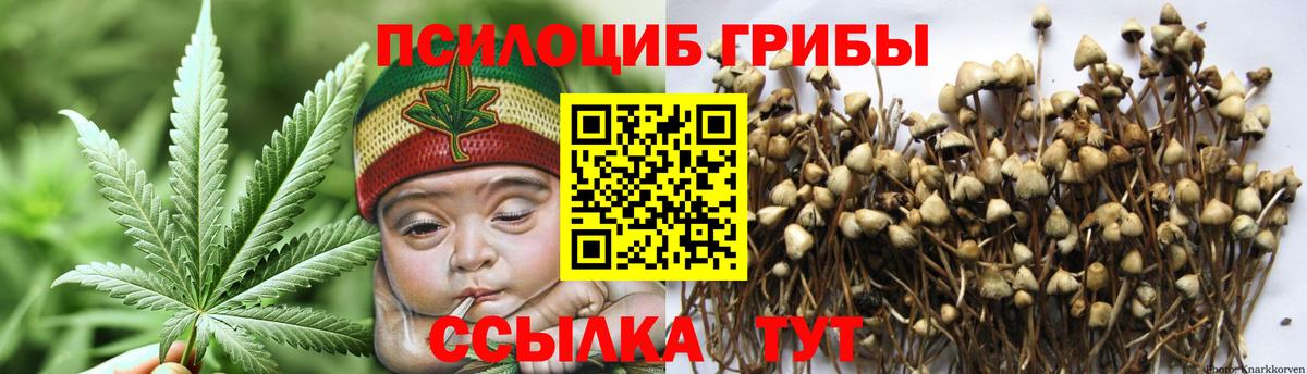 Галлюциногенные грибы ЛСД Славянск-на-Кубани